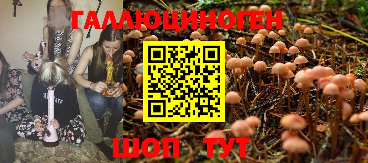 Псилоцибиновые грибы Magic Shrooms Сосновоборск